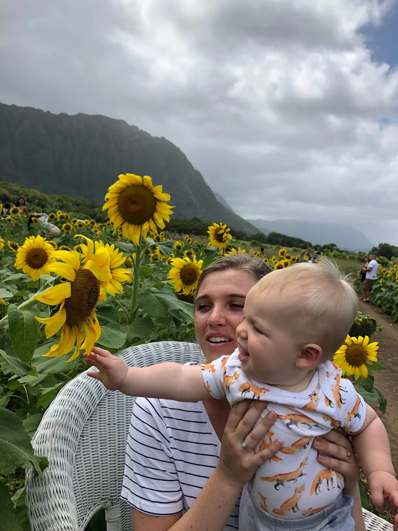 Mom and baby in a sunflower field below green mountains in Hawaii